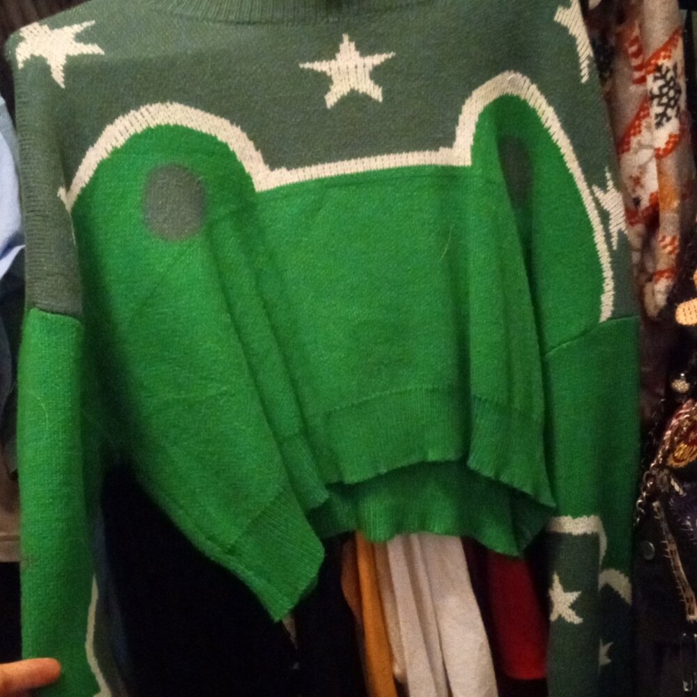 Frog Sweater